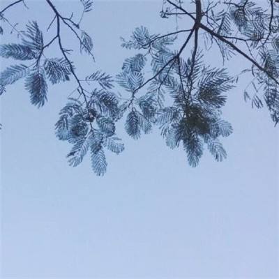 生产不健康产品的企业也有责任